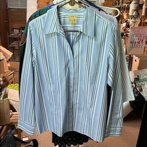 Westbound Gold Label Women's Blue and White Striped No Iron Button-Down Shirt 18